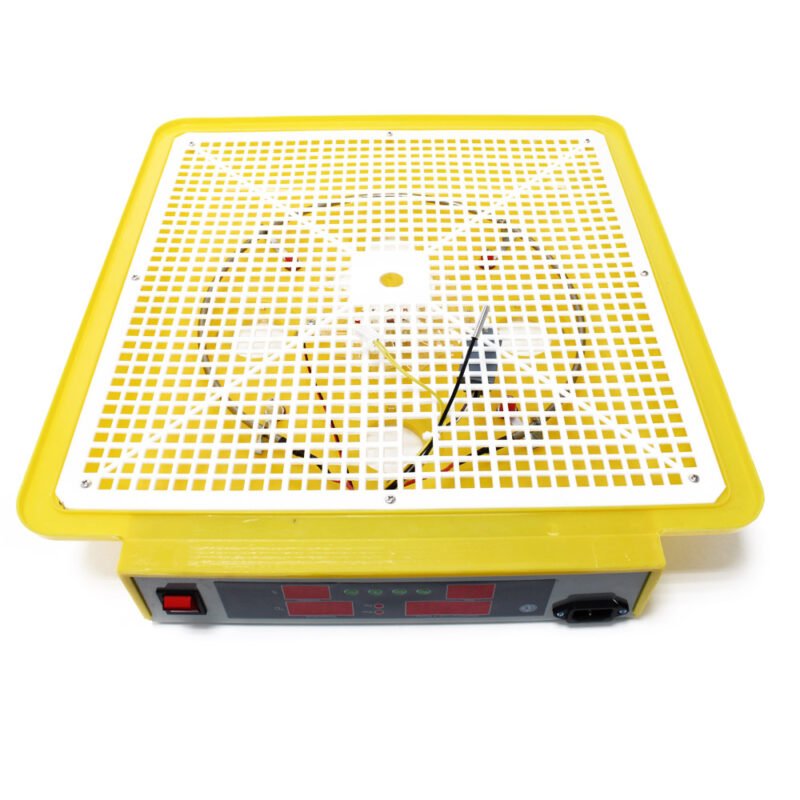 Máquina de incubação automática para 72 ovos WQ-72, incubadora de ovos