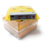 Máquina de incubação automática para 112 ovos WQ-112, incubadora de ovos