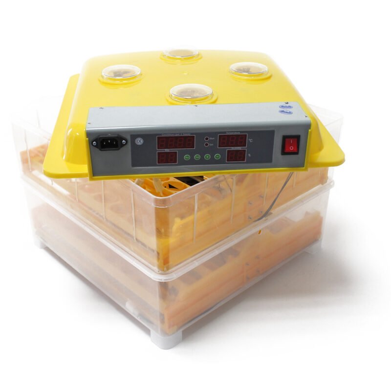 Máquina de incubação automática para 112 ovos WQ-112, incubadora de ovos