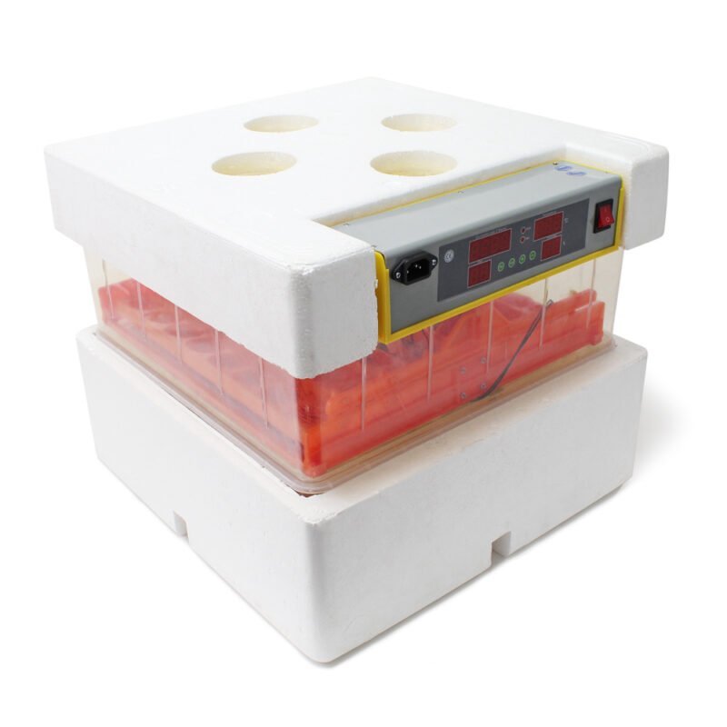 Máquina de incubação automática para 72 ovos WQ-72, incubadora de ovos
