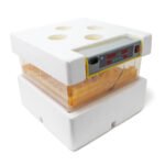 Máquina de incubação automática para 112 ovos WQ-112, incubadora de ovos