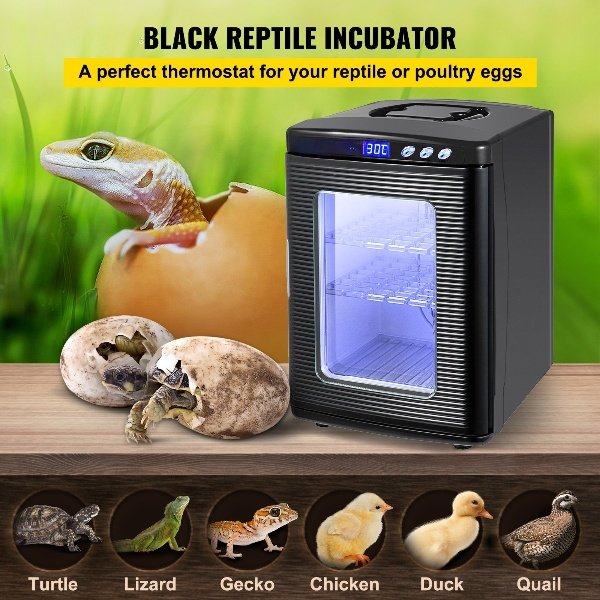 Incubadora Automática 12 Ovos, Dual Power, para Galinhas