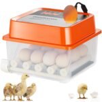 Incubadora Automática 12 Ovos, Dual Power, para Galinhas