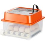 Incubadora Automática 12 Ovos, Dual Power, para Galinhas
