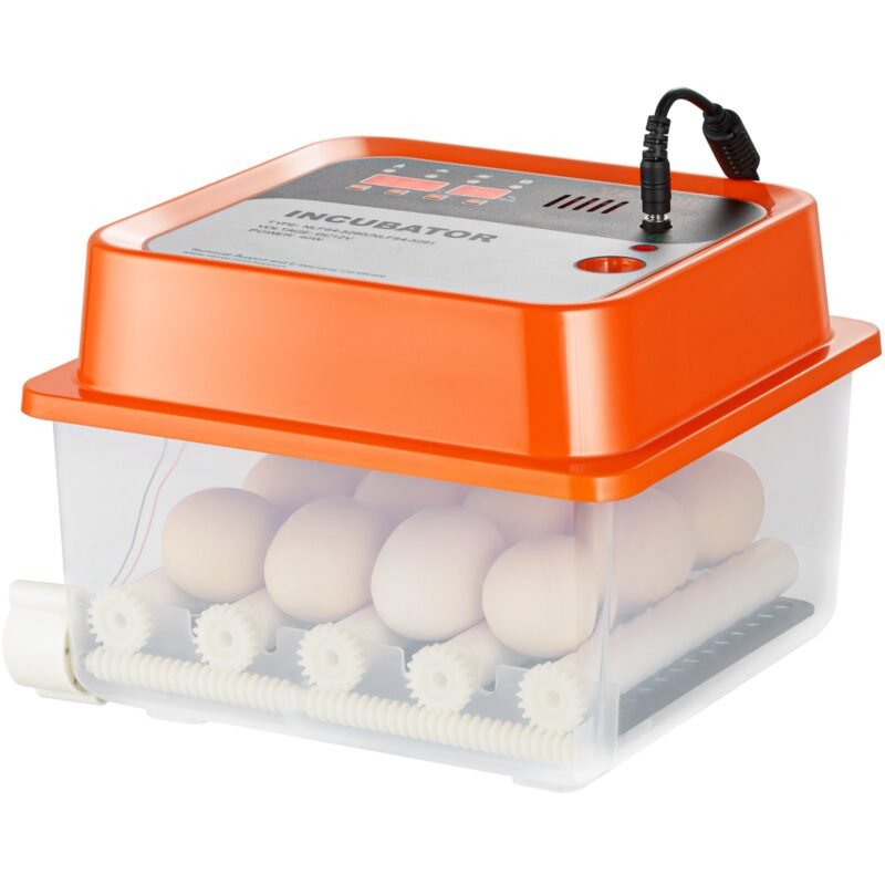 Incubadora Automática 12 Ovos, Dual Power, para Galinhas