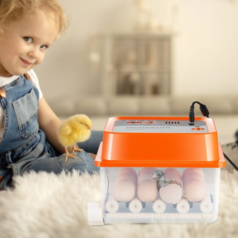 Incubadora Automática 12 Ovos, Dual Power, para Galinhas