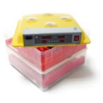 Máquina de incubação automática para 72 ovos WQ-72, incubadora de ovos