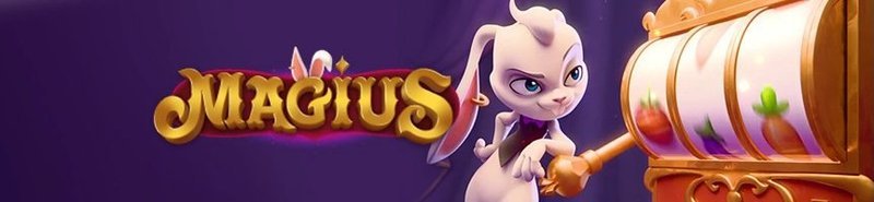 magius-hero.jpg