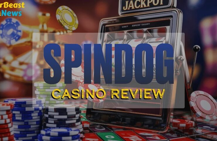 spindog-app-spindog.jpg